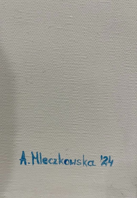Ujęcie Metamorfoza Biometryczna IV 4.jpg